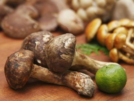 松茸有臭味正常嗎?凍松茸發酸能吃嗎