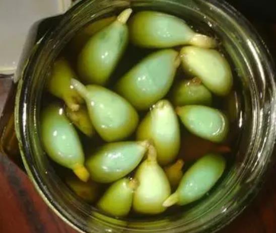 臘八蒜沒有完全變綠怎么辦?臘八蒜只有一點綠可以吃嗎