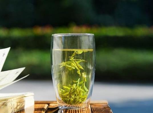 ?龍井泡茶水多高的溫度合適?龍井一點都不香是什么原因