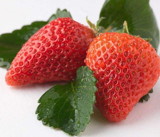 吃草莓會導致得出血熱是真的假的?爛草莓有什么細菌