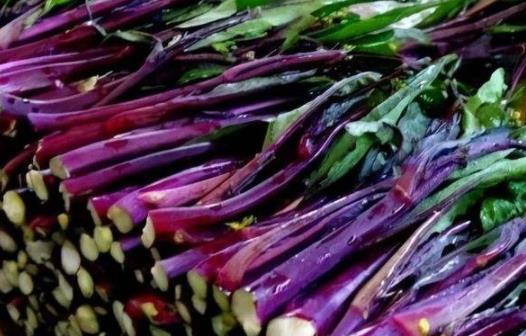 炒紅菜苔前要焯水嗎 白菜苔和紅菜苔哪個好吃