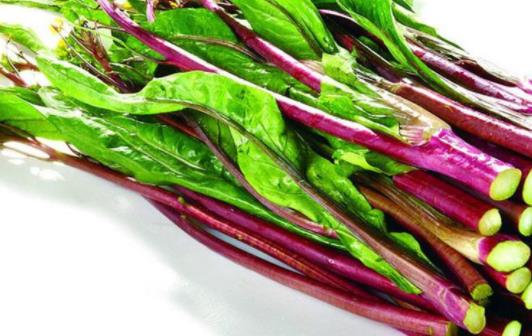 炒紅菜苔前要焯水嗎 白菜苔和紅菜苔哪個好吃