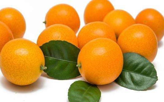 吃金桔會胖嗎 吃金桔嘴麻是什么原因