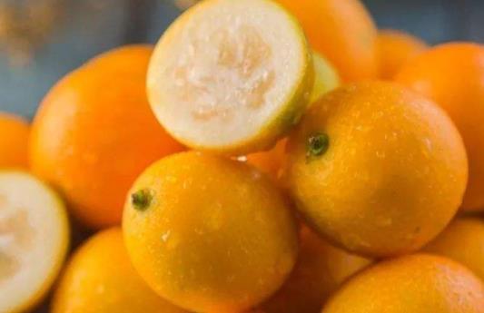 吃金桔會胖嗎 吃金桔嘴麻是什么原因