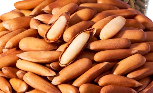 巴西松子沒有那么脆是不是壞了 巴西松子和普通松子哪個好吃