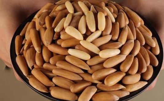 巴西松子沒有那么脆是不是壞了 巴西松子和普通松子哪個好吃