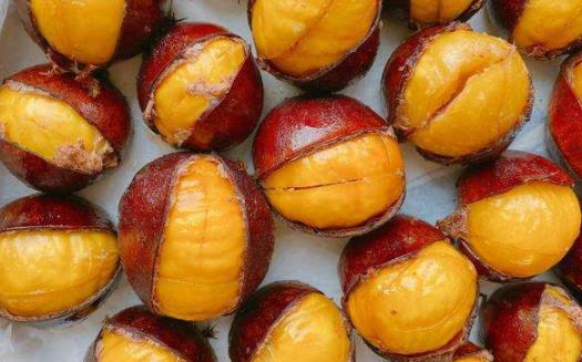 板栗里面有尖尖算發芽嗎 板栗發芽后能吃嗎