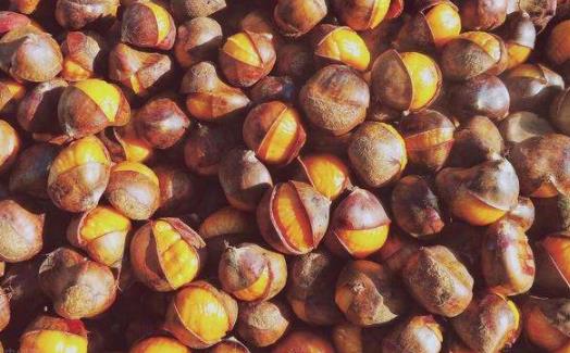 板栗里面有尖尖算發芽嗎 板栗發芽后能吃嗎