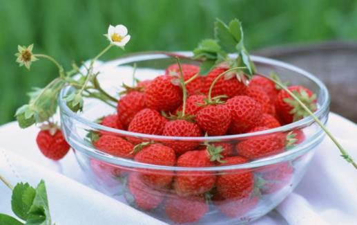 吃多了草莓會(huì)不會(huì)導(dǎo)致肚子痛 草莓吃之前怎樣洗才干凈