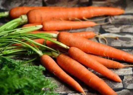 胡蘿卜榨汁是生榨還是消煮熟再榨?胡蘿卜為什么長白色的根
