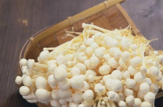 吃金針菇會(huì)上火嗎?吃金針菇有哪些好處?