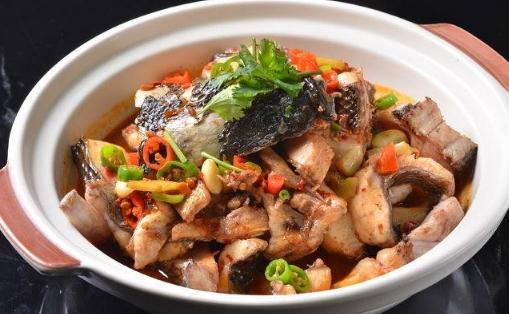 財魚手術幾天后吃 財魚吃了有助于傷口愈合嗎