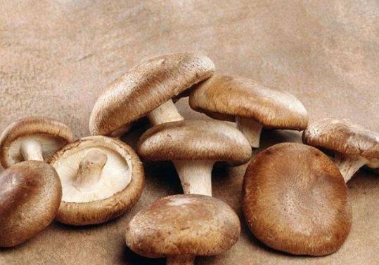 新鮮香菇和干香菇哪種有營(yíng)養(yǎng)?香菇怎么洗才能洗得特別干凈