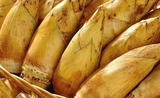 冬筍煲湯要不要焯水 冬筍放冰箱好還是放外面好