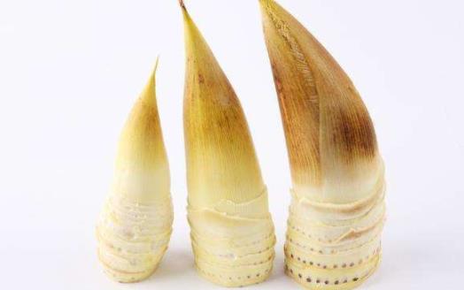 冬筍煲湯要不要焯水 冬筍放冰箱好還是放外面好