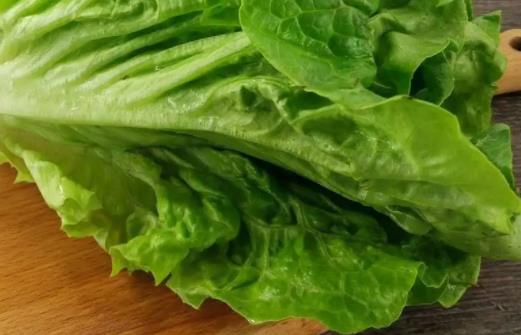 生菜可以減肥嗎?生菜有點苦可以吃嗎?