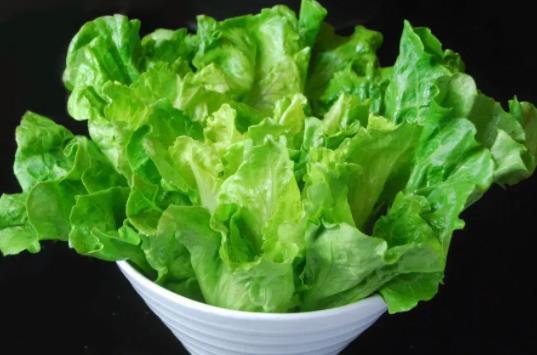 生菜可以減肥嗎?生菜有點苦可以吃嗎?