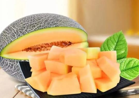 怎么看哈密瓜甜不甜?嗓子疼吃哈密瓜會不會更嚴重