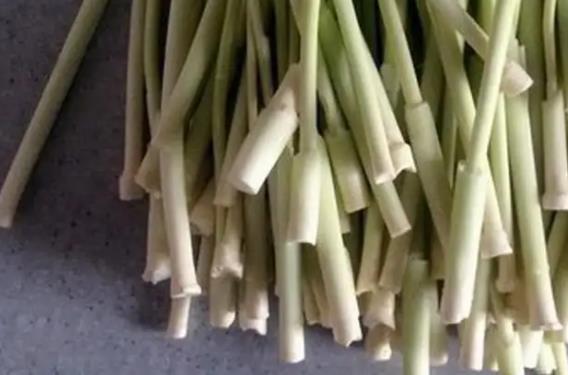 多大的小孩可以吃茭白?小孩吃茭白有哪些好處?