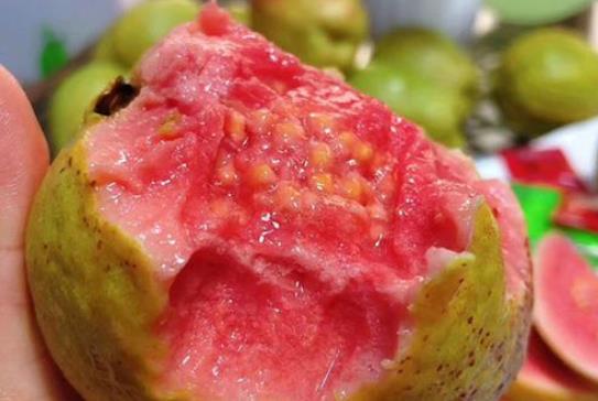 孕期可以吃芭樂嗎?吃芭樂有哪些功效?