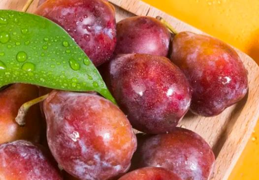 西梅有酒味還能吃嗎?西梅吃多少能促進排便