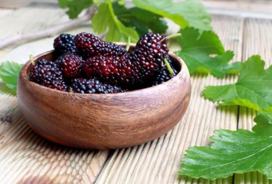 桑葚有點紅可以吃嗎?桑葚酒用的白酒是多少度