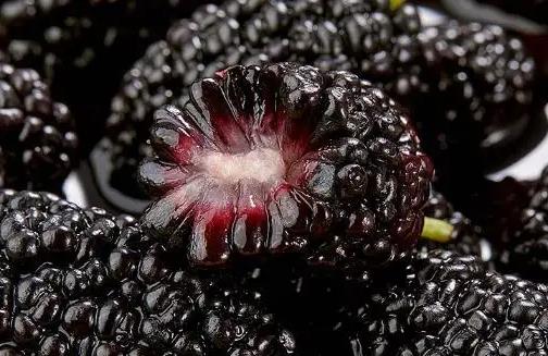 超市剛買回來的桑葚要洗嗎?怎么吃桑葚干才能達到解酒效果