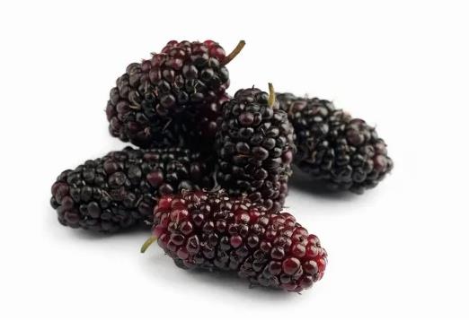 桑葚泡酒用鮮果還是干果?桑葚是補(bǔ)氣血的嗎