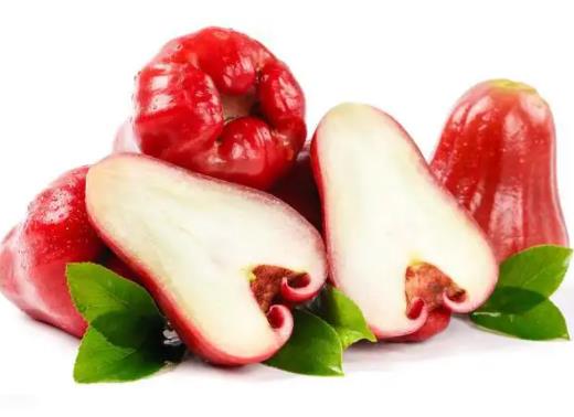 蓮霧和枇杷果哪個(gè)止咳化痰好?蓮霧和梨怎么榨汁