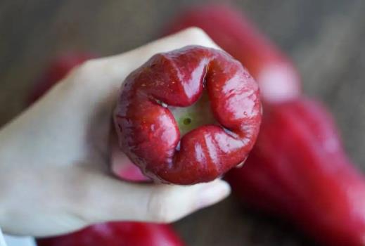 喝完中藥可以吃蓮霧嗎?什么樣的蓮霧不能吃