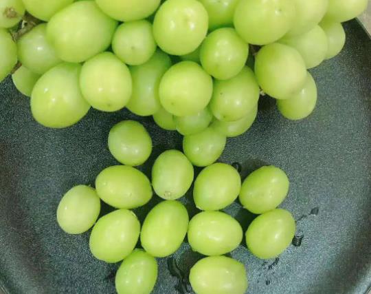 秋天脆青提是哪里產的?秋天脆青提功效有哪些