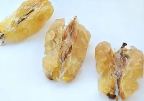 卵巢早衰患者吃雪蛤多久可以吃一次?絕經(jīng)了吃雪蛤有效果嗎