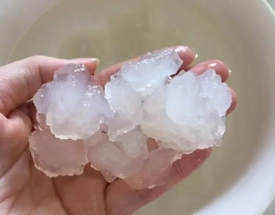 雪蛤一次吃一只會不會太多?服用雪蛤要多久才可以見到效果