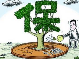 什么是網(wǎng)絡(luò)保險?網(wǎng)絡(luò)保險怎么投保?