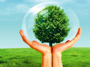 ?什么是保險公估人?保險公估的發展