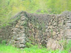 如何看墓地風水?墓地風水學知識