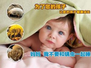 夏季螨蟲引發肌膚問題 4招除盡螨蟲護肌膚