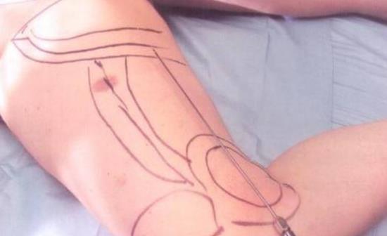 ȳ֬û֏ͣȳ֬ĺzYЩ