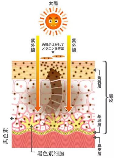 北京伊美爾紫竹醫(yī)院:光子嫩膚多久做一次