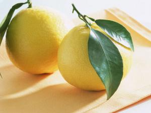 柚子能減肥嗎？柚子的營養(yǎng)與功效