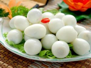 吃鵪鶉蛋能減肥嗎?鵪鶉蛋的減肥方法