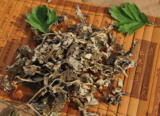 Ȱ~ˮܜpʆ᣿~_12ļٵ