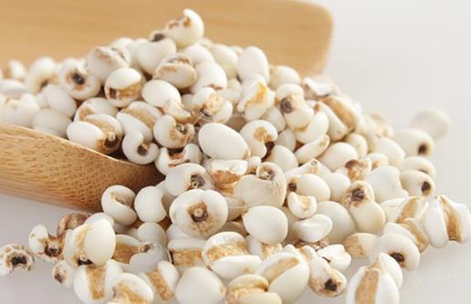 減肥瘦身必備薏仁 薏仁的功效和烹飪方法