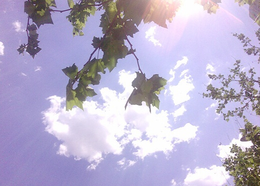 三伏天從什么時候開始?三伏天吃什么