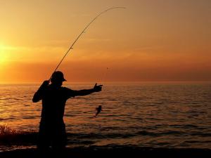 釣魚的注意事項-釣魚的好處有哪些?