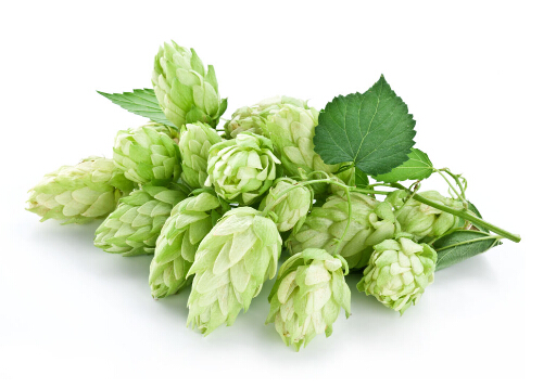 ơ�ƻ��ɷ������ڶ��Ƽ���ή�s