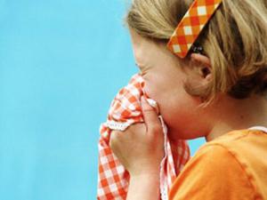 豆豉紫蘇粥治風寒感冒?雪梨川貝冰糖飲的功效