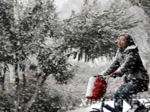 倒春寒是什么意思?初春倒春寒養生要注意什么