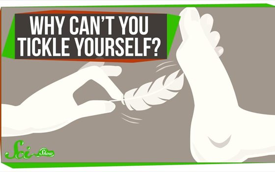 人為什么感覺癢的時候要撓?為什么怕癢的人自己撓自己卻不癢