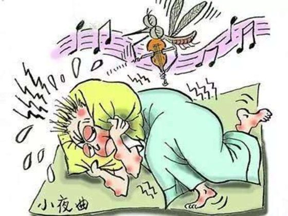 人為什么感覺癢的時候要撓?為什么怕癢的人自己撓自己卻不癢